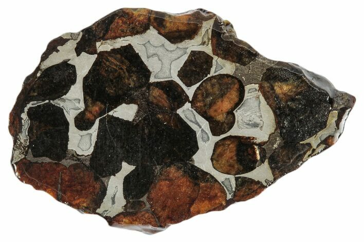 Sericho Pallasite Meteorite ( g) Slice - Kenya #346443